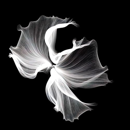 Ceanothe Tableau sur verre pétale design 30x30 cm - Impression Image Haute Définition Pour Décoration Murale avec Finition Brillante Fabriqué en France