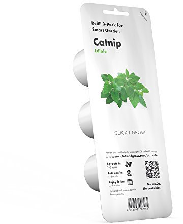 Click and Grow Katzenminze Plant Pod Nachfüllpack Substratkapsel Pflanzenkapseln Smart Garden Indoor Garden 3-er pack