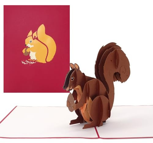 Pop Up Karte „Eichhörnchen“ lustige 3D Geburtstagskarte; Einladungskarte und Weihnachtskarte mit Umschlag als Gutschein, kleines Geschenk, Geschenkidee und Deko
