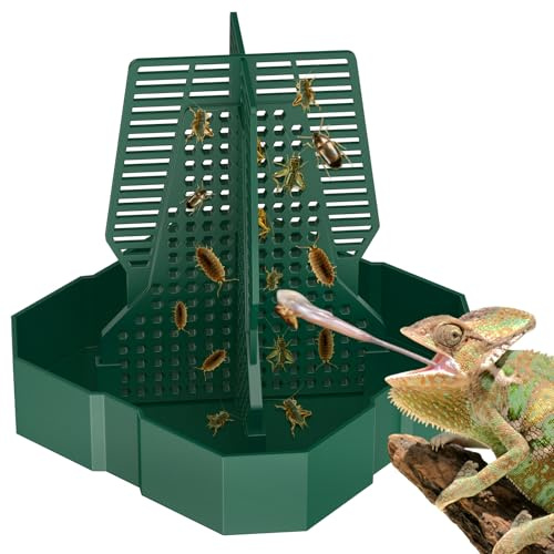 Pawfly Bol Alimentaire pour Caméléon - Mangeoire Escaladable pour Reptiles, Grande Boîte en Plastique pour Nourrir Les Agames Barbus, Insectes, Bol pour Lézards, Geckos et Grenouilles