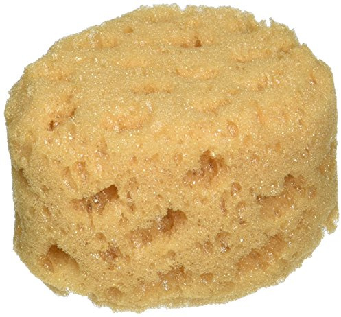 FolkArt Home Decor Sponge