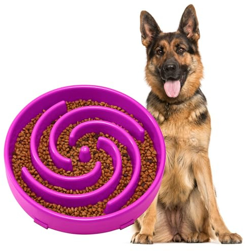JASGOOD Slow Feeder Dogs Bowl for Large Medium Dogs,Anti-Gulping Pet Slower Food Feeding Bowls Stop Bloat,Preventing Choking