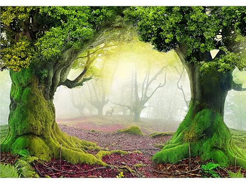 decomonkey Fototapete Wald Landschaft 300x210 cm XL Tapete Wandbild Bild Fototapeten Tapeten Wandtapete Natur