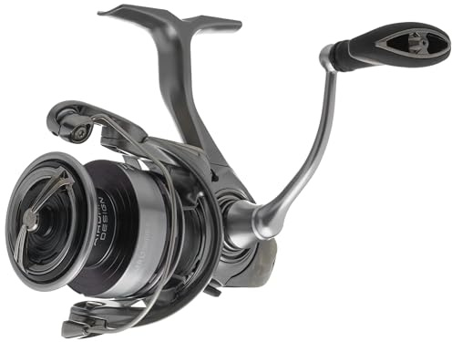 Daiwa EXCELER 2500-XH LT - Carrete Giratorio, 5BB + 1, 6.2: 1