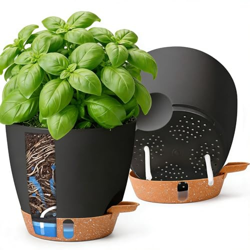 T4U 20cm Self Watering Plant Pots Indoor 2 Pack, Water Level Indicator & Deep Reservoir, Mess-Free Planters for Busy Homes and Beginners, Suitable for Pothos and Snake, Sheltered Outdoor Use(Black)