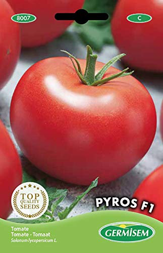 Germisem graines Tomate PYROS F1