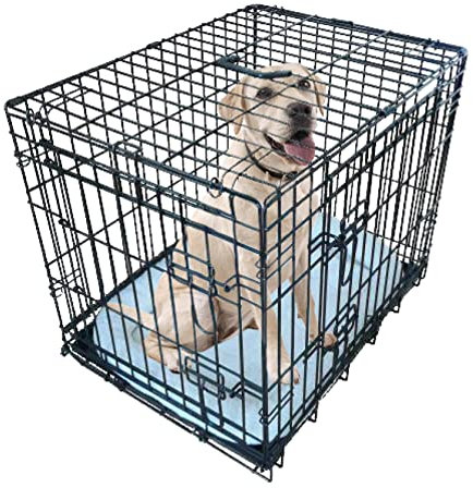 Ellie-Bo Black Deluxe Large 36-inch Folding 2-Door Dog Cage/Crate with Metal Tray and Dog Bed Mat