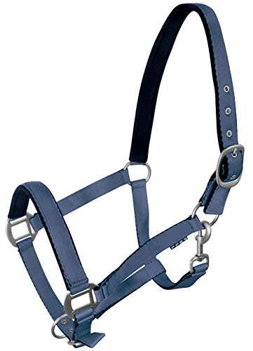 York Cabestro para caballos, flúor blando, cabestro para establo y pasto, cabestro para equitación