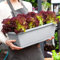 wufawutian 3-6 Stück Pflanzkasten Pflanztöpfe für Saat und Versetzung Kunststoff Europalette Hochbeet Blumenkasten Euro Palette Blumenkübel Pflanztöpfe Profi Anzuchttopf Blumentopf