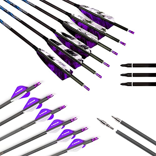 29-Inch Arrow Spine-900 Arrow Target Practice Arrow Hunting Arrow Carbon Arrows Compound Bow Recurve Bow Adult Youth Archery Indoor Outdoor Shooting Bullet Field Tip 12pc Mixed Pack