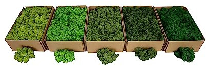 Hello Moss Isländisch Moos Norwegisch 0,5/1kg Konserviertes Moos Live Vollbio Moosdeko ideal zu Ostern Weihnachtsdekorationen Bastelmoos Terrariummos (0,5 kg, Mittelgrün)
