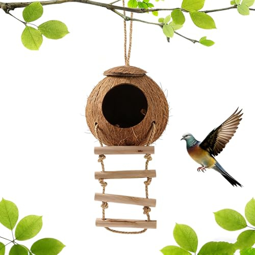 Mangiatoia per uccelli in stile scala, per uccelli fatti a mano di cocco, Parrot Hamster Coco Shell letto per uccelli, per piccoli uccelli, rettili (denaro delle materie prime)