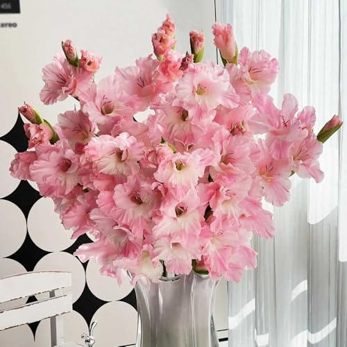 Bombilla de gladiolos,perennes resistentes,regalos originales Decoración de balcones,de sombra.7pcs