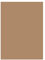 folia 6375 - Tonpapier rehbraun, DIN A3, 130 g/qm, 50 Blatt - zum Basteln und kreativen Gestalten von Karten, Fensterbildern und für Scrapbooking