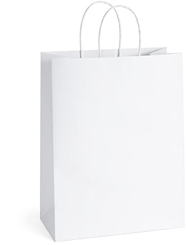 BagDream 10x5x13 25Pcs Gift Bags White Paper Shopping Bags with Handles Bulk, for Retail, Merchandise, Party Favor, Recyclable Paper Sacks