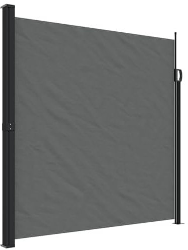 vidaXL Toldo Lateral retráctil Gris Antracita 200x500 cm
