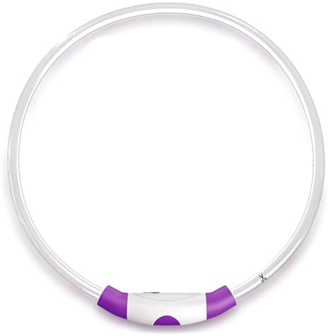 Flowzuk Hundkrag – högt synligt upplyst hundhalsband – livligt LED-ljus – starkt hundhalsband i plast – USB-laddningsbart hundhalsband med hundhalsband – vattentätt hundhalsband – roliga gåvor för husdjursföräldrar