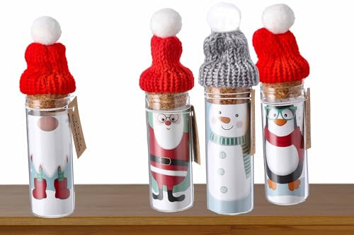 KAMACA 4er Set Geschenkschachtel Glasröhrchen mit Bommelmütze Geschenkbox für Geldgeschenke kreative Weihnachtsverpackung mit Grußbotschaft Geschenkverpackung Geld Weihnachten (4er Set Winterfreunde)