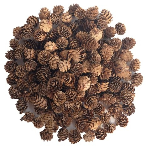 120PCS Pine Cones Christmas Natural Pinecones Small Pine Cones for Home Party Crafts Gift Wedding Christmas Tree Decoration