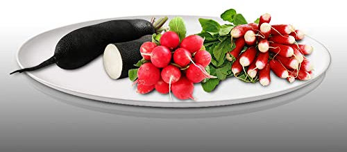 Lot de 300 graines à semer - Le Grenier d'Abondance - Fan de Radis - 3 sachets individuels