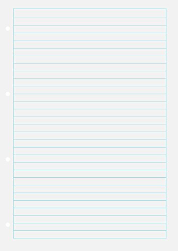 BRUNNEN Ringbucheinlage A4 lin mit RM 100Bl