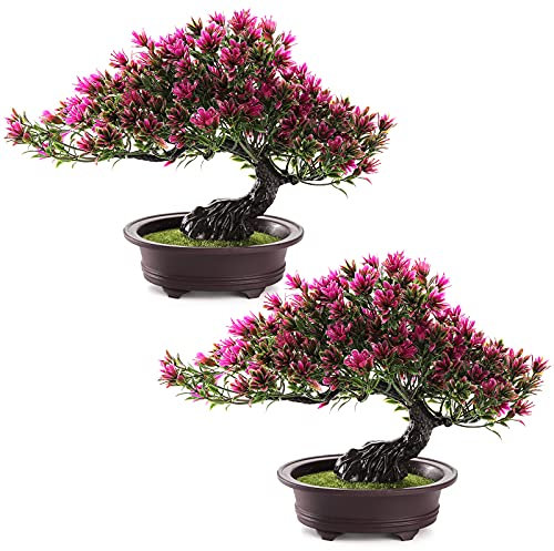 ZEAYEA 2 Pack Artificial Bonsai Tree, Small Fake Plants Decor, Indoor Faux Potted Plant for Living Room Home Table Bathroom Bedroom Office Shelf Farmhouse Decorations, 9.5 Height