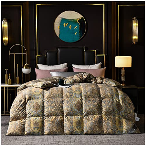 ZTGL Bedding Invernale Piumone Caldissimo Piumino in Piuma, D'Oca di 95% Piuma, Extra-Leggero, Doppio Matrimoniale, Lussuoso Fodera in Cotone, Colore Multiplo,C,220x240cm(2000g)
