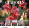 Gladiolus Calendar 2026: Elegant and Tall Blooms to Grace Your Year