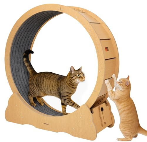 Cat Wheel, Large Cats Exercise Wheel, Indoor Cat Treadmill for Bengal, British Shorthair & Other Active Breeds (L-35inch)