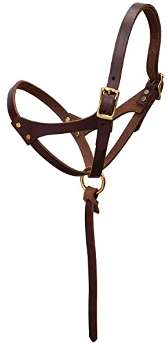 Weaver Leather Figure 8 Foal Halter, 5/8 Suckling, Oiled Canyon Rose