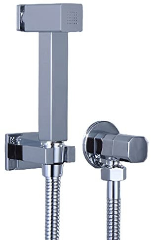 Pulvérisateur de bidet à main en chrome poli avec bouton poussoir de contrôle en laiton pour robinet de bidet mural à eau froide