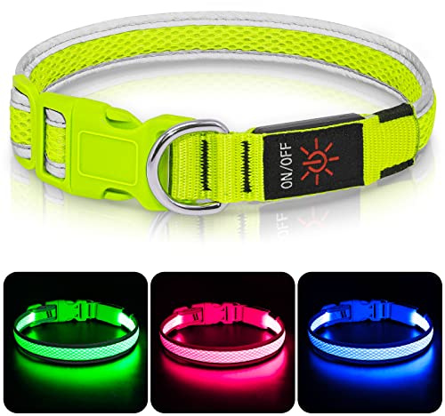 Leuchthalsband Hund, Colaseeme LED Hunde Leuchthalsband, Wasserdicht Hundehalsband Leuchtend, HundeleuchthalsbäNder Aufladbar für Pet Night Walking Safety, grün L