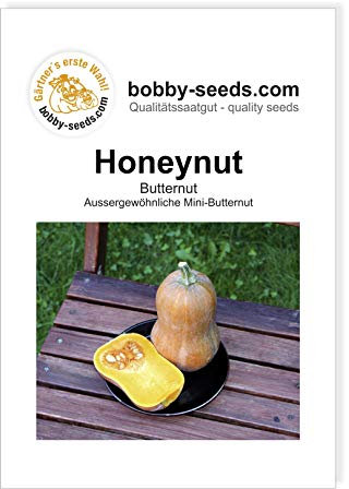Honeynut Kürbissamen von Bobby-Seeds, Portion