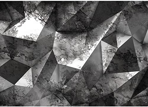 Runa Art Photo Wallpaper 3D Metal Look 352 x 250 cm Non-Woven Wall Art XXL Moderne Living Room Bedroom Gray 9163011c