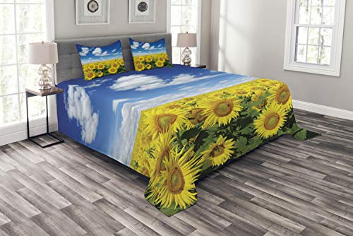 ABAKUHAUS Sonnenblume Tagesdecke Set, Frische Feld Land, Set mit Kissenbezügen Mit Digitaldruck, für Doppelbetten 220 x 220 cm, Gelb Grün Blau