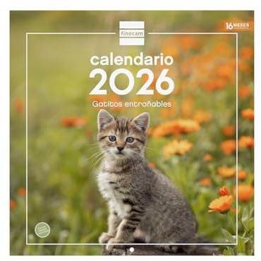 Finocam - Wall Calendar 2026 - Spanish 30x30 cm Month View January - December 2026 + Sep.- Dec. 2025 (4 months) reduced | Calendar 2026 | Images Kittens