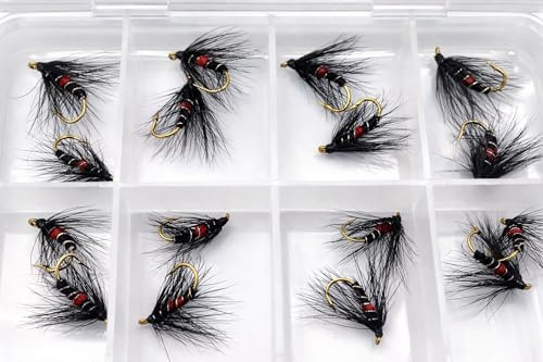 BestCity Fly Fishing Bibio Selection 16 Wet Flies with Free Fly Box Trout Flies Sizes 10–16 Fly Fishing Lures Set