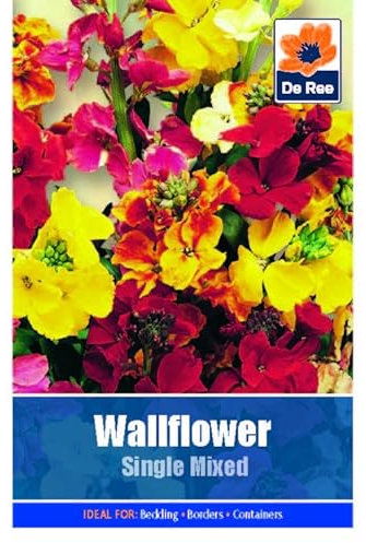 Flower Seeds WallFlower Single Mixed - 510 Seeds Packet Plant Bedding Borders Containers Pots Grow Your Own Garden Plant Seed