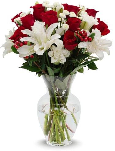 Stargazer Barn – Red Royale Rose Bouquet with Vase – Mother’s Day Flowers for Mom – Fresh Flower Delivery, Farm Fresh, Hand-Tied in USA, Ready to Gift