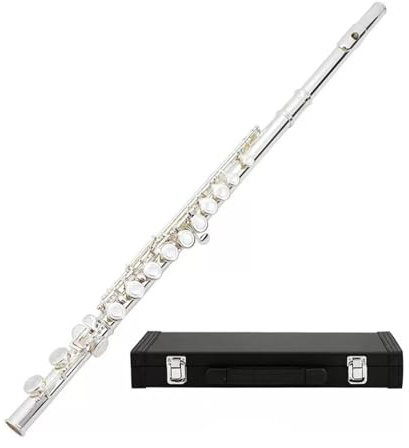 tvärflöjt instrument Nybörjarflöjt C Key Professional Performance 16 stängt hål