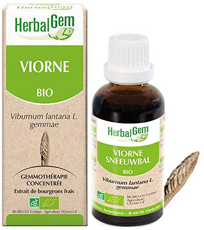 HERBALGEM - Macérât-Mère - Viorne Bio - Complément Alimentaire Gemmothérapie Concentrée - Extrait De Bourgeon Frais - Pour Voies Respiratoires - Vegan - 30 ml