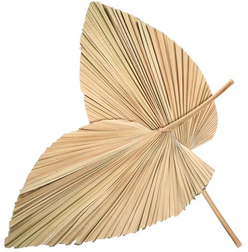 PRETYZOOM Abanico de Hojas Secas para Decorar Tu Hogar Plantas Secas para Decorar Tu Hogar