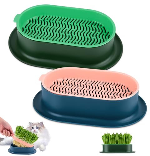 MINISOISO Pflanzgefäß für Katzengras, 2 Stück Katzengras Pflanzgefäß,Keimschale Katzengras,Behälter für Katzengra,Pflanzschalen für Katzengras,Katzengras Tablett,Katzengras Schale Tablett(Keine Samen)
