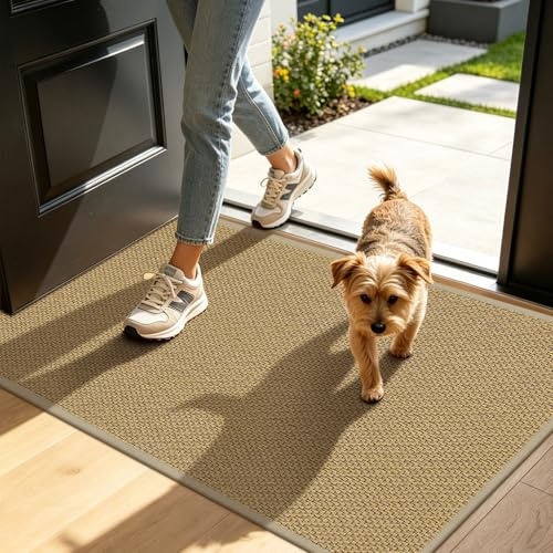 LEKEEPGO Alfombra de Entrada 60 x 90 cm, Ultrafina, Absorbente y Lavable, Felpudo de Entrada de Perfil bajo para atrapar la Suciedad, Alfombra para el Piso Delantero, Beige