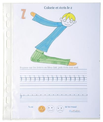 Exacompta 5120E 100er Pack PP-Kunststoff Prospekthüllen 17 x 22cm transparent genarbt oben offen Klarsichtfolie Plastikhülle Klarsichthülle ideal für Ordner Ringbücher und Hefter