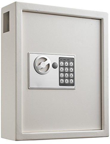 AdirOffice Steel Key Holder Wall Mount - 40-Key Lock Box with Code, Key Cabinet, Valet Parking Key Box, Car Dealer Key Cabinet - Space Saving Locking Key Box with Digital Lock
