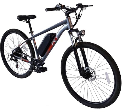 M29 Vélo électrique 250 W avec batterie 48 V 17,5 Ah, 29 pouces pour adulte, portée 120 km, Shimano 7 vitesses, freins à disque mécaniques, StVZO pour ville et tout terrain (gris)