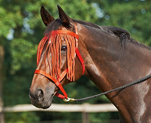 Halfter WEIDE-FRANSEN