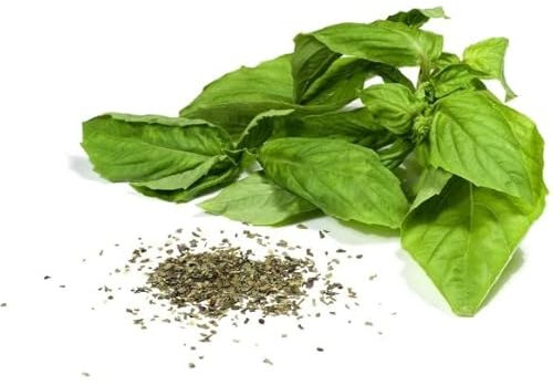 Semillas de Albahaca Hoja Ancha para Cultivar en Huerto Urbano Planta Aromática