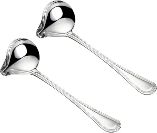DAKLUNAR 2 pezzi di salsa in acciaio inox, mestolo da zuppa, argento, 20 cm, per salsa con beccuccio, piccolo per condimenti, salsa da zuppa, piccolo per cucinare con stile